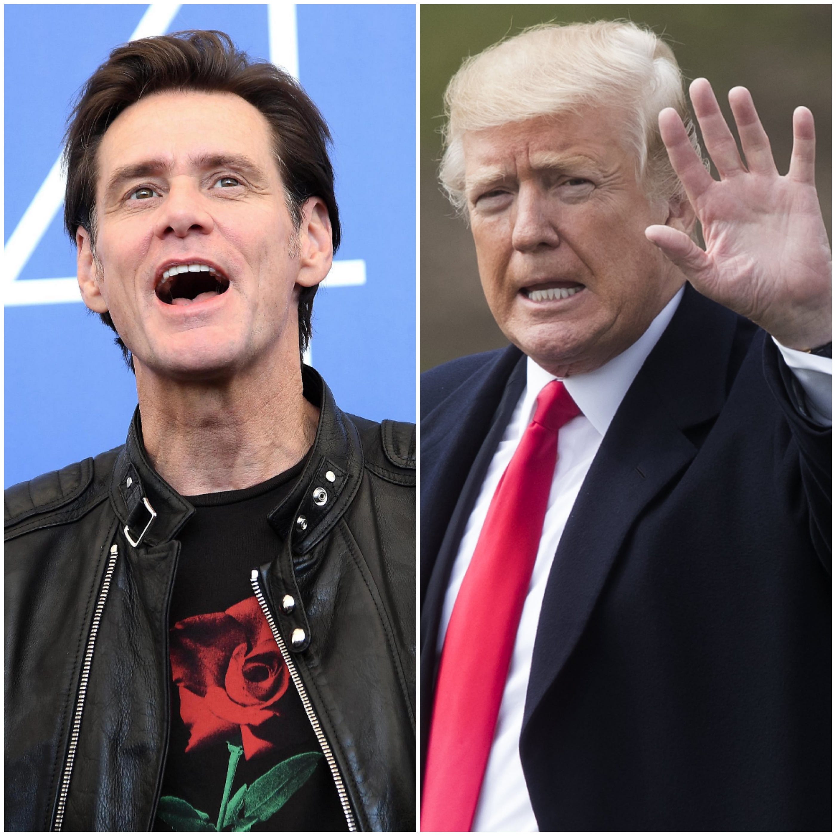 Photo Russian double Jim Carrey has created a furor in the web 08/09/2016 12 Photo Russian double Jim Carrey has created a furor in the web 08/09/2016 81